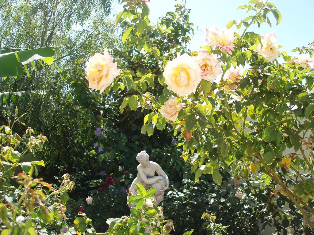 Mi Jardin Villa Frontera Exterior photo